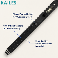 KAILES (KLS) Série KLS-K22 PDU pour centre de données 63A 18 prises 3 1P Protection par disjoncteur à air Courant élevé 45,3 kW Unité de distribution d'alimentation