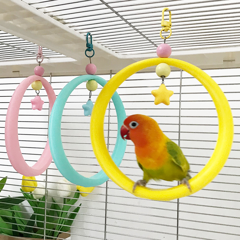 Hanging 3D Printed Parrot Activity Swing