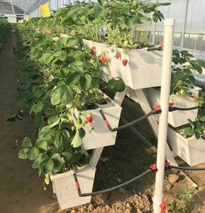 Gouttière de culture hydroponique verticale multicouche en PVC-U pour serres commerciales, idéale pour la culture de fraises - Product Image 1