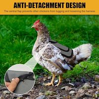 Selle de protection dorsale Beckon Custom 600D Oxford pour poules avec sangle réglable – Idéale pour l'accouplement des poulets