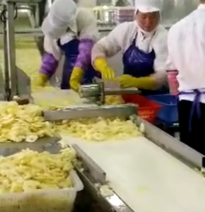 Macchina per affettare tipo orizzontale per ananas macchina automatica per la lavorazione di fette di ananas - Product Image 6