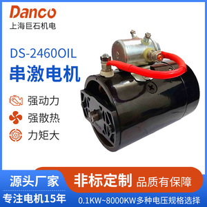 Motor de CC con escobillas serie DS 2460oil para presión hidráulica en equipos mecánicos - Product Image 5