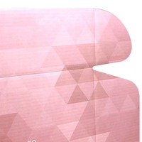 Emballage ondulé A4 personnalisé T Shirt Waist Trainer Corset Boîte d'affranchissement en carton ondulé