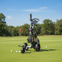 Carrito de Golf de alto rendimiento, carrito eléctrico de Golf con Control remoto de litio
