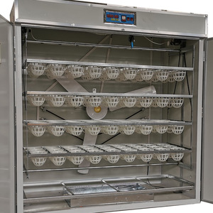 96 150 Lồng Ấp Trứng Đà Điểu Màu Mỡ Tươi Để Bán - Product Image 6