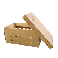 Boîte d'expédition en carton ondulé pour animaux de compagnie, de haute qualité, robuste, durable, ventilée, avec trous d'aération, recyclable, imprimée sur mesure