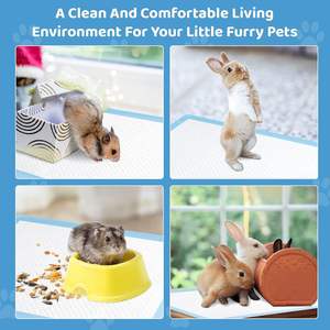 "Cat" - Product Image 4