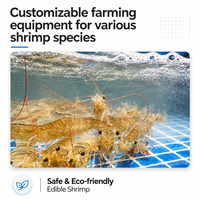 Tilapia-Garnelen-Wels-Fischzuchtmaschinen RAS-Kreislaufanlagen für Aquakultur Brutstationen Fischzuchtbecken