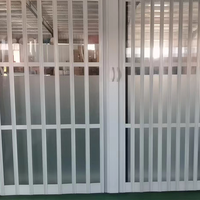 Porte d'entrée résidentielle double en polycarbonate, porte pliante, feuille résistante aux UV, porte commerciale légère