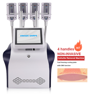 2026 Factory Direct 4-Pad Multi-Plate Body Contouring Machine | Factory Direct Fat Reduction & Firming - Product Image 3
