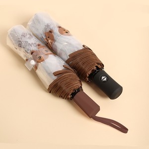 Oferta Especial: Paraguas Transparente Plegable de 8 Varillas, Automático, con Impresión de Logotipo Publicitario - Product Image 4