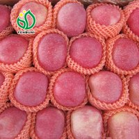 2024 pommes fraîches manzana fresca pomme fruit frais chinois Fuji pomme