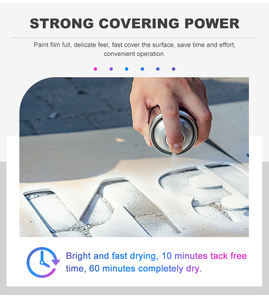 Pintura en <span class=keywords><strong>Aerosol</strong></span> Cromada para Retoques y Reparaciones de Automóviles, Personalización Automotriz - Product Image 6