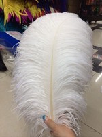 Plumes d'autruche vertes brutes, motif naturel, 60-65 cm, kit DIY pour fleurs, événements, décoration de table, carnaval et mariage