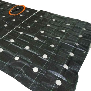 Toile de paillage <span class=keywords><strong>anti</strong></span>-herbe pour aménagement paysager, 100% HDPE vierge, avec service de découpe et processus de dessin - Product Image 3