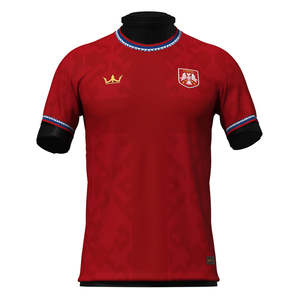 Custom 2024 High Quality 100% <b>Polyester</b> Heat-Transfer Printed Logo Name Number Men's Adult Soccer Football Jersey All Seasons - Product Image 1