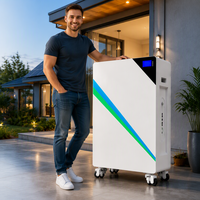Batterie lithium LiFePO4 murale 51,2 V avec système d'énergie solaire hybride pour panneaux solaires connectés au réseau