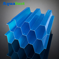 Plaque lamellaire AquaSust haute efficacité 500L/h pour la séparation solide-liquide industrielle rapide