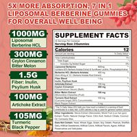 Gummies Liposomales de Berbérine OEM – Complément de Berbérine HCL et Curcuma avec Cannelle de Ceylan et Melon Amer pour la Santé Hépatique