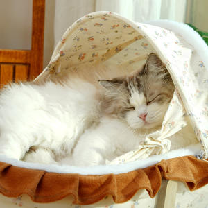 Evcil Hayvanlar için Lüks, Üst Düzey Prenses Yatağı, Kediler ve Köpekler için Prenses Tasarımlı Evcil Hayvan Evi, Beşikli Evcil Hayvan Taşıyıcısı - Product Image 3