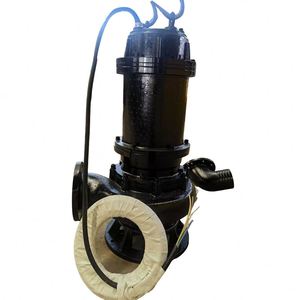 Pompe submersible pour eaux usées 3 pouces avec broyeur, auto-amorçante 220V haute pression, personnalisable OEM/ODM pour le drainage des chantiers - Product Image 2