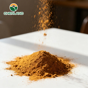 Thảo mộc tự nhiên tơ hồng chiết xuất hạt bột chinensis tinh dịch cuscuta tu si Zi chinensis tinh dịch cuscuta chiết xuất bột - Product Image 3