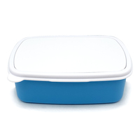Boîte à bento en plastique écologique mignonne pour enfants et adultes, compatible micro-ondes, vierge pour sublimation, avec couvercles à double compartiment japonais