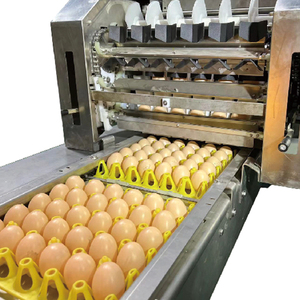 Meilleure Vente : Ligne de Tri Automatique d'Œufs de Crevettes et d'Escargots, Machine de Tri et de Calibrage d'Œufs <span class=keywords><strong>à</strong></span> Convoyeur - Product Image 5