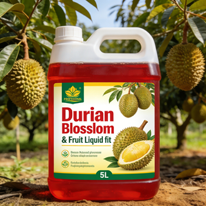 Fertilizante Líquido Concentrado de Flor y Fruta de Durian <span class=keywords><strong>para</strong></span> Huertos, Mejora la Retención y Calidad de la Fruta - Product Image 2