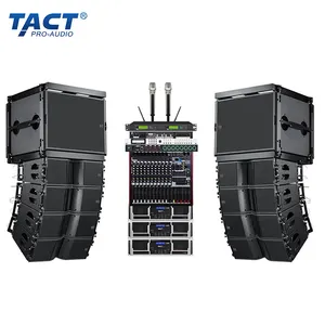 Compact Enclosure Pro Audio Sound PA System Live Concert Program Events Double 8 Inch Line Array Speaker