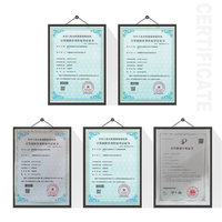 Pompe à engrenages professionnelle HOL 10082767 (plateforme élévatrice en fibre) pour découpeuse laser de qualité supérieure