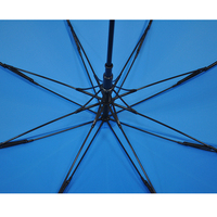 Parapluie Droit Automatique de Haute Qualité avec Conseils de Sécurité, Directement de l'Usine