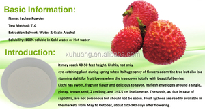 Natuurlijk <span class=keywords><strong>Litchi</strong></span> Fruitpoeder, Hoogwaardig <span class=keywords><strong>Litchi</strong></span> <span class=keywords><strong>Chinensis</strong></span> <span class=keywords><strong>Extract</strong></span> voor Voedingsmiddelen en Supplementen - Product Image 2