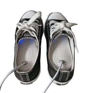 Secador portátil de botas de esquí Jenny con placa de calentamiento constante de cerámica PTC, desodorante de zapatos UV con temporizador