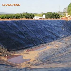 Groothandel Dam Voering Geomembranen Roll Anti-uv Hdpe Geomembrane 0.2Mm Hdpe Voering Voor Viskwekerij Vijvers En Kunstmatig Meer - Product Image 6