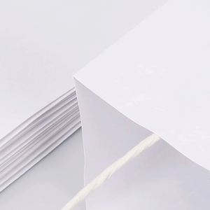 Bolsa de Papel Kraft de Alta Calidad, Biodegradable y Reciclable, con Asas para Compras - Product Image 2