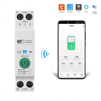 Tuya WiFi Disjoncteur Intelligent 1P + N 63A Avec Mesure DIN Rail Boucle Timing Télécommande Sans Fil Commutateur pour Smart Life