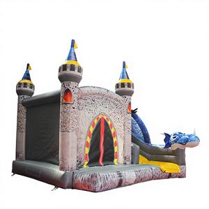 Château gonflable combiné avec toboggan WINSUN, modèle de dinosaure commercial, avec couleur et logo personnalisables, imperméable - Product Image 1