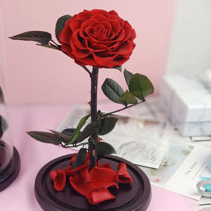 <span class=keywords><strong>Prix</strong></span> usine Roses éternelles vraies Roses immortelles en verre 15*30cm Roses préservées populaires dans un dôme en verre comprenant des boîtes-cadeaux - Product Image 2