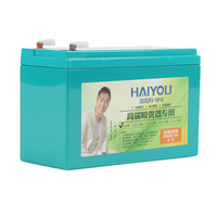 12-8 jenis baterai Lithium Hijau Energi Baru baterai Lithium Ion Pak nol polusi Lifepo4 baterai untuk penyemprot kelas atas