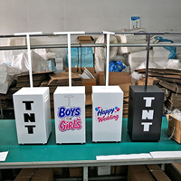 Kit de fournitures pour fête de révélation du sexe : feux d'artifice TNT, canon à fumée contrôlable, lance-confettis et machine à éclaboussures de poudre pour garçon ou fille