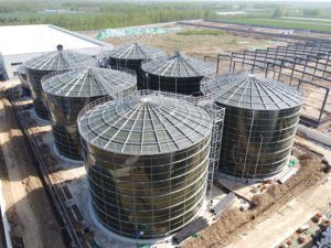 BLX più venduto più recente impianto di macellazione digestore di rifiuti per serbatoio digestore anaerobico - Product Image 4