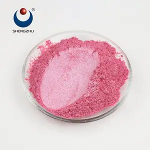 Shengzhu popular resin epoxy pigment mica pearl pigments powder slime pigment powder