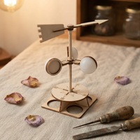 BRICOLAGE Test Direction Du Vent Assemblage Jouets pour Enfants Explorer La Nature Scientifique Modèle D'étude Kits Jouet Expérimental Au Niveau