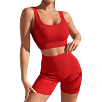 Ensembles de sport personnalisés colorés et doux pour femmes, sous-vêtements de fitness, vêtements de musculation, vêtements de yoga, en nylon sexy sans couture