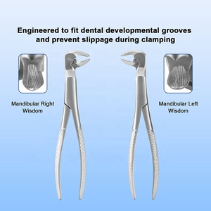 Pinzas de Extracción de Dientes de Sabiduría Mandibulares Izquierdos/Derechos - Product Image 2