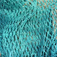 Polyester Fishing Net for Large Fish, PE Monofilament