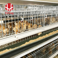 Sistema de Jaulas para Pollos Tipo H de Acero Galvanizado, Marca YiFeng, Nuevo, Directo de Fábrica, Precio Competitivo para Producción Avícola en África