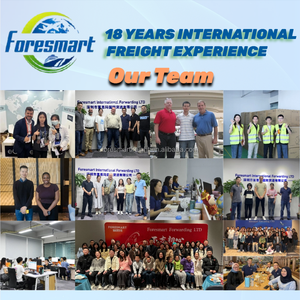 Chuyên nghiệp hàng hóa hàng không FBA vận chuyển DDP giao nhận Pro Quảng Đông Giang tô Trung Quốc Maryland USA ottawa Vancouver Canada từ để bởi - Product Image 6