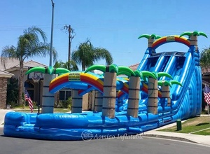 Nhà Máy bơm hơi lớn trượt N trượt người lớn Inflatable hồ bơi nước trượt - Product Image 2